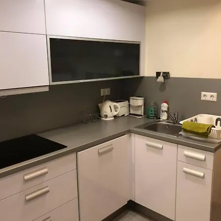 Wellness Apartman *