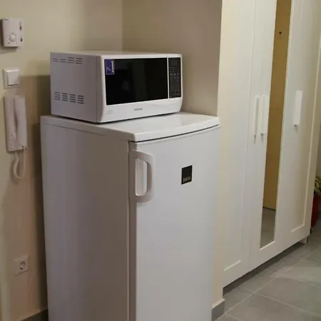Wellness Apartman *